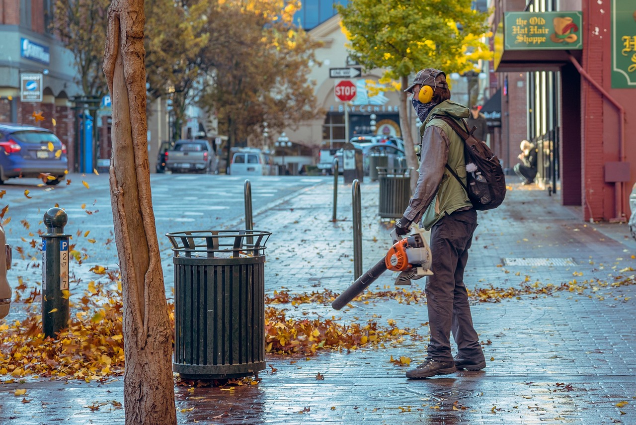 fall, blowing street, leaves, blower, street, nature, morning, trees, stores, alone, backpack