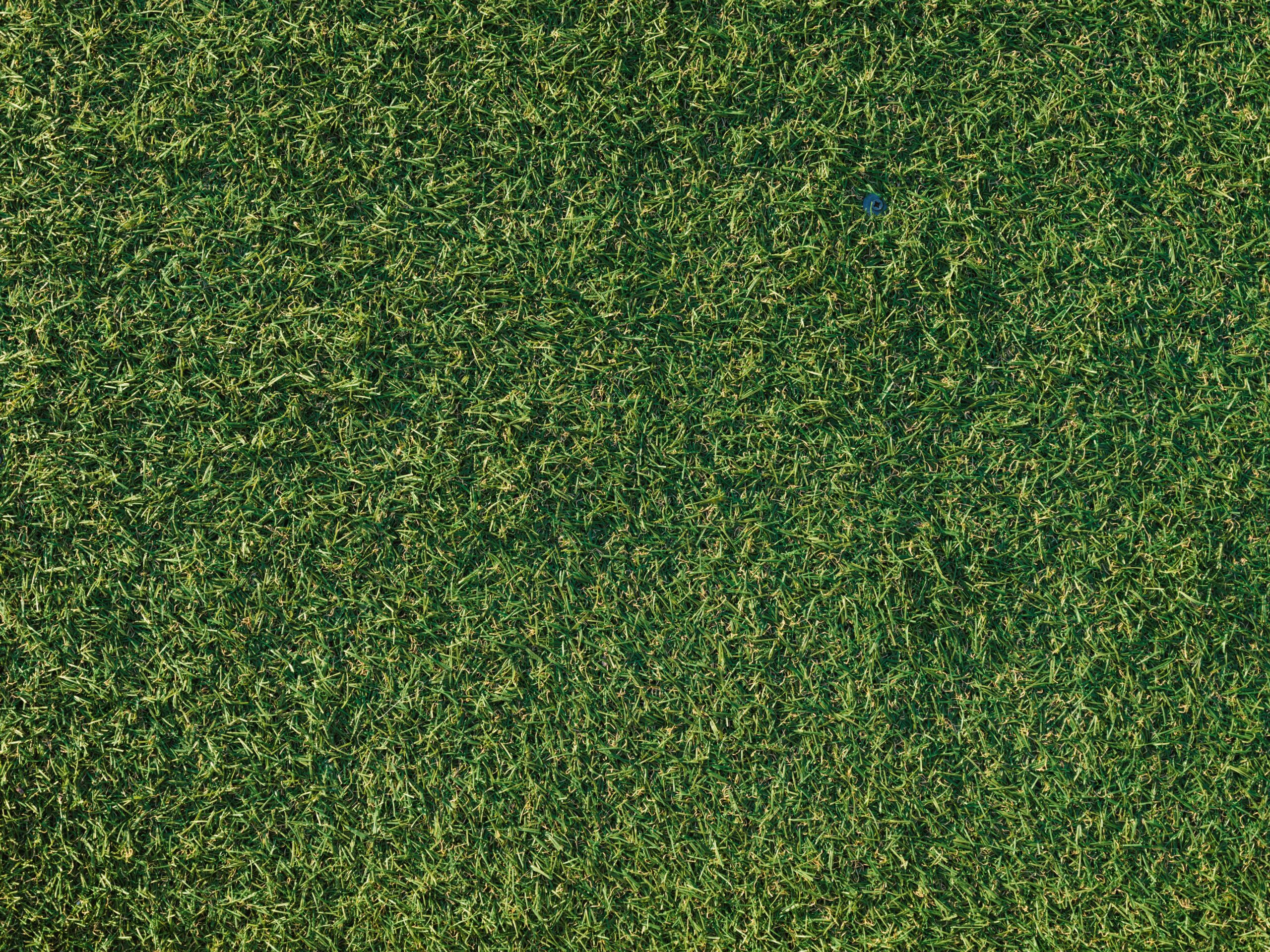 Detailed shot of lush, green artificial grass with a natural look.